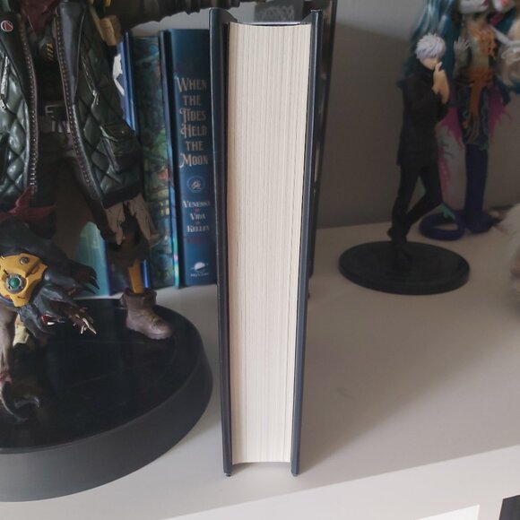 Never a hero by vanessa len - Picture 3 of 4